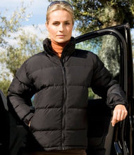 Load image into Gallery viewer, RS181 Ladies Urban Padded Jacket